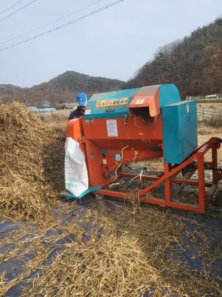 청양 산골꾸찌뽕 님의 자유주제 · 자유게시판 작성글 사진