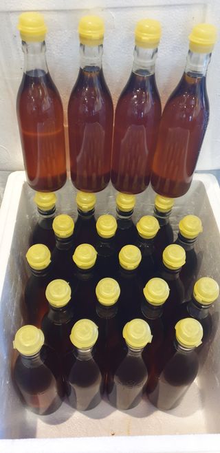 조순영님의 작성글 사진