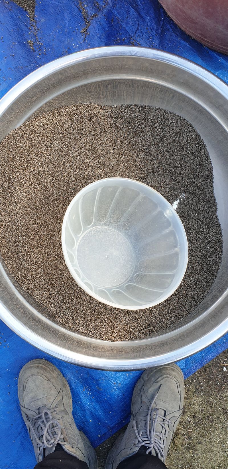 조순영님의 장터 판매 상품 [들기름 350ml  4병이상무료배송] 첨부 사진