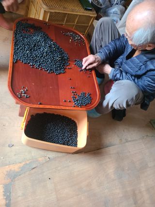 신동익님의 작성글 사진