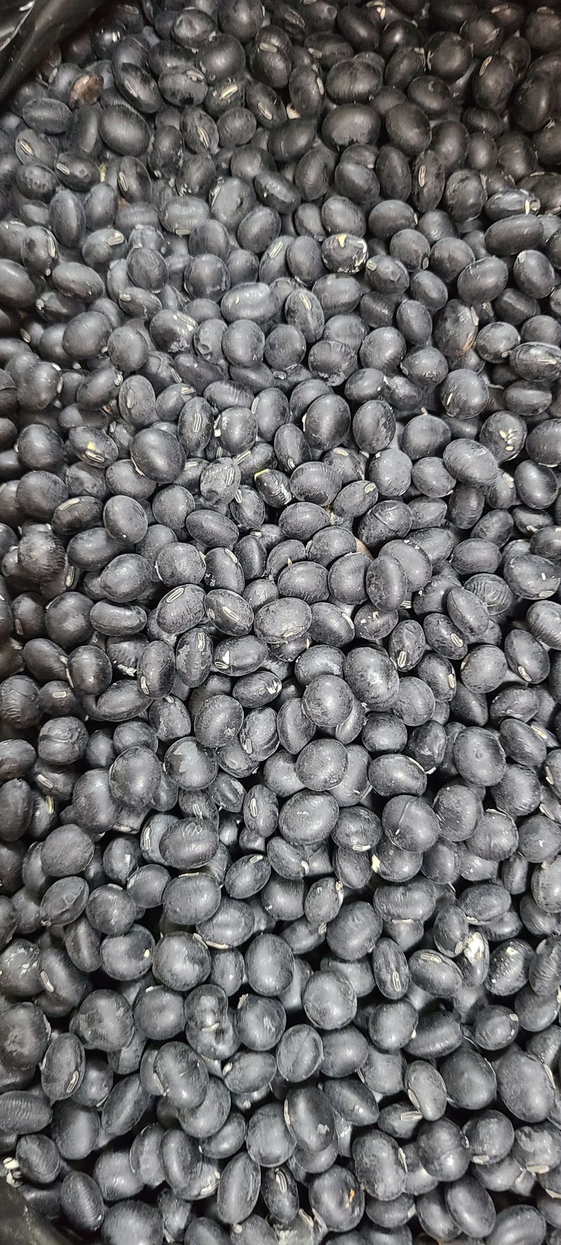 장터 상품 [서리태검은콩] 썸네일