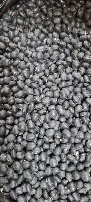 신동익님의 작성글 사진