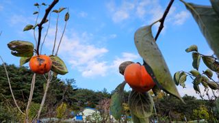 영이님의 자유주제 · 자유게시판 작성글 사진