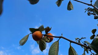 영이님의 자유주제 · 자유게시판 작성글 사진