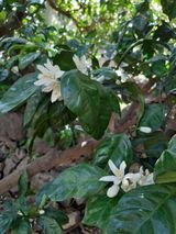 팜모닝 자유주제·자유게시판 게시글 이미지