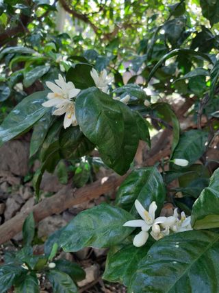 양애숙님의 자유주제 · 자유게시판 작성글 사진