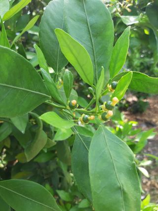 양애숙님의 자유주제 · 자유게시판 작성글 사진