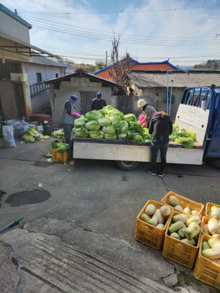 한상숙님의 우리집 김장 자랑하기 · 참여글 작성글 사진