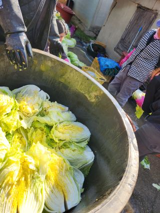 한상숙님의 우리집 김장 자랑하기 · 참여글 작성글 사진