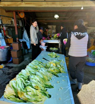 한상숙님의 우리집 김장 자랑하기 · 참여글 작성글 사진