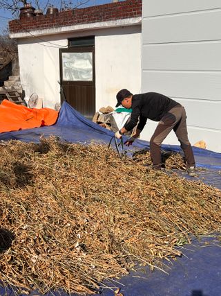 권병☆님의 자유주제 · 자유게시판 작성글 사진