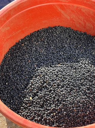 권병☆님의 자유주제 · 자유게시판 작성글 사진