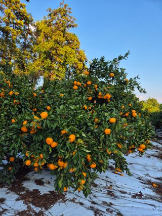 노창래님의 자유주제 · 자유게시판 작성글 사진