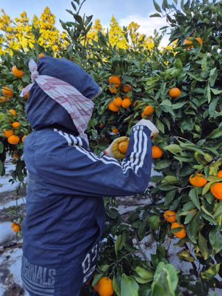 노창래님의 자유주제 · 자유게시판 작성글 사진