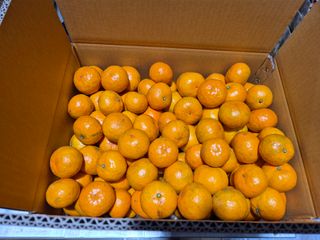 노창래님의 자유주제 · 자유게시판 작성글 사진