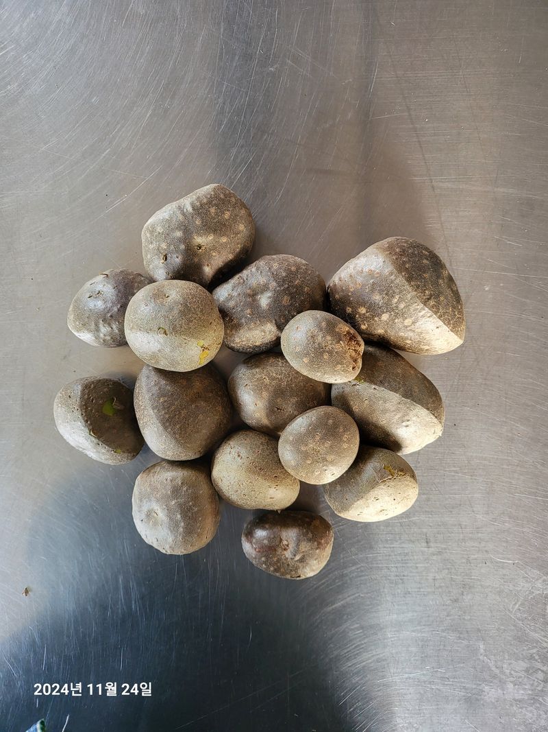 수연농장님의 장터 판매 상품 [하늘마] 첨부 사진