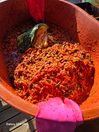 소병찬님의 자유주제 · 자유게시판 작성글 사진