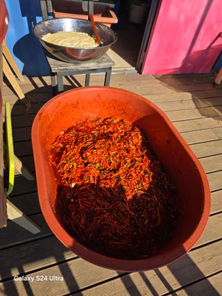 소병찬님의 자유주제 · 자유게시판 작성글 사진