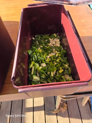 소병찬님의 자유주제 · 자유게시판 작성글 사진