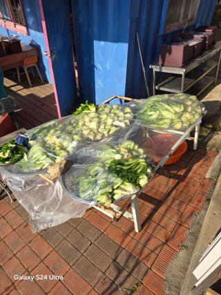 소병찬님의 자유주제 · 자유게시판 작성글 사진