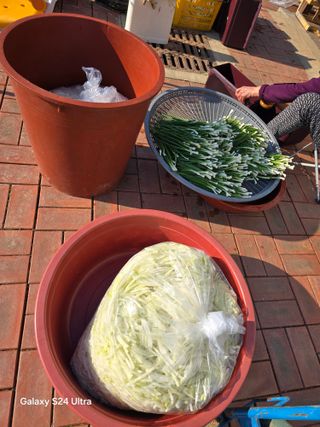 소병찬님의 자유주제 · 자유게시판 작성글 사진