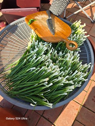 소병찬님의 자유주제 · 자유게시판 작성글 사진