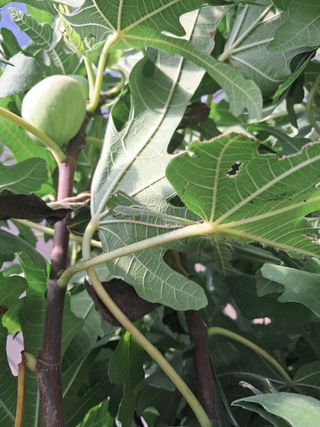 최한기님의 자유주제 · 자유게시판 작성글 사진