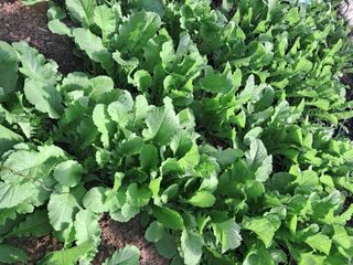 최한기님의 자유주제 · 자유게시판 작성글 사진