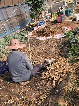 최한기님의 자유주제 · 자유게시판 작성글 사진