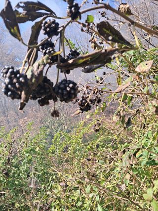 최한기님의 자유주제 · 자유게시판 작성글 사진