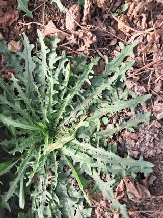 최한기님의 자유주제 · 자유게시판 작성글 사진