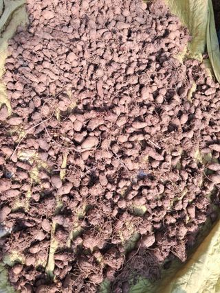 최한기님의 자유주제 · 자유게시판 작성글 사진