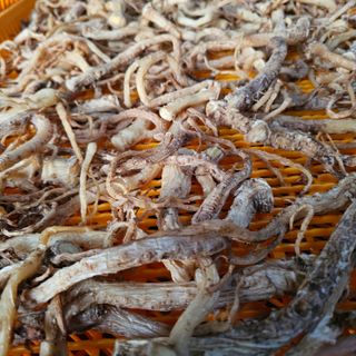 백용기님의 자유주제 · 자유게시판 작성글 사진