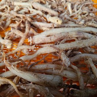 백용기님의 자유주제 · 자유게시판 작성글 사진