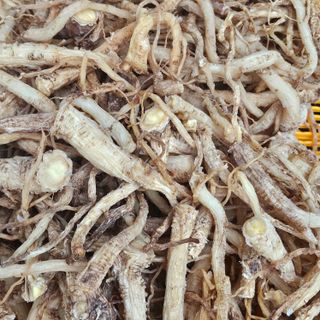 백용기님의 자유주제 · 자유게시판 작성글 사진