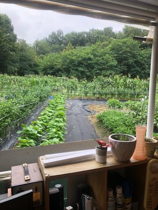 지안이/손주농장주인님의 팜모닝 · 출석 작성글 사진