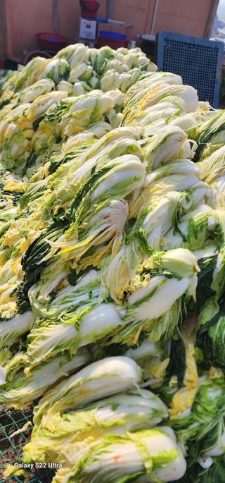 성창준님의 자유주제 · 자유게시판 작성글 사진