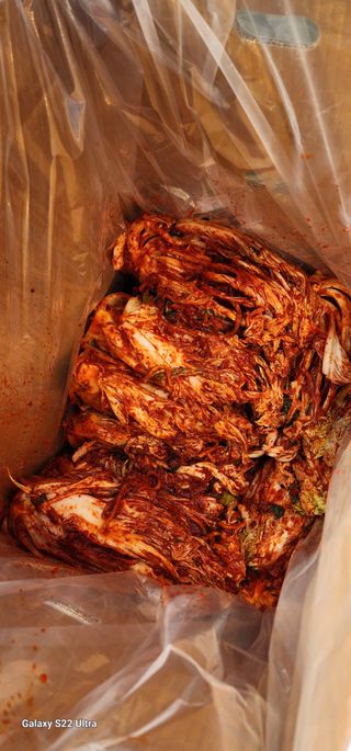 성창준님의 자유주제 · 자유게시판 작성글 사진