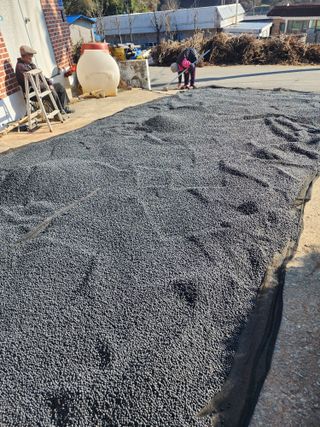 최철규님의 자유주제 · 자유게시판 작성글 사진