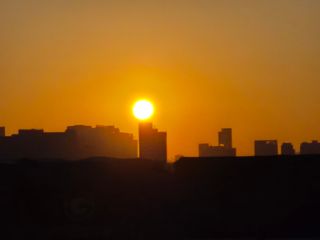 허굴산농장님의 자유주제 · 자유게시판 작성글 사진