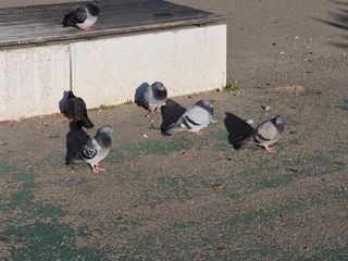 허굴산농장님의 자유주제 · 자유게시판 작성글 사진