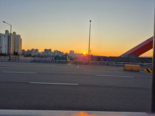 허굴산농장님의 자유주제 · 자유게시판 작성글 사진