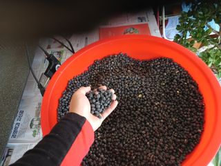 알 수 없음님의 자유주제 · 자유게시판 작성글 사진