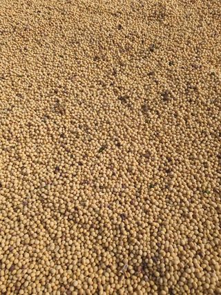 Chon792679님의 자유주제 · 자유게시판 작성글 사진