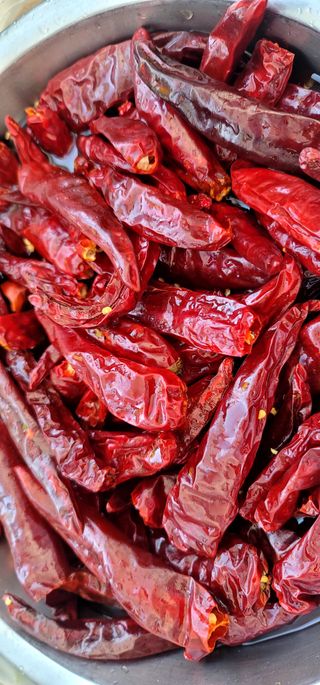 범이님의 우리집 김장 자랑하기 · 참여글 작성글 사진