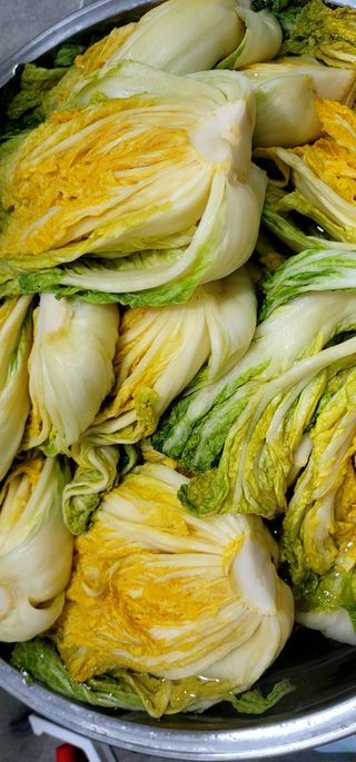 범이님의 우리집 김장 자랑하기 · 참여글 작성글 사진