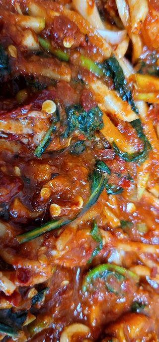 범이님의 우리집 김장 자랑하기 · 참여글 작성글 사진