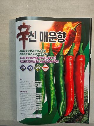 대산농사대장님의 고추 · 품종•종자 작성글 사진