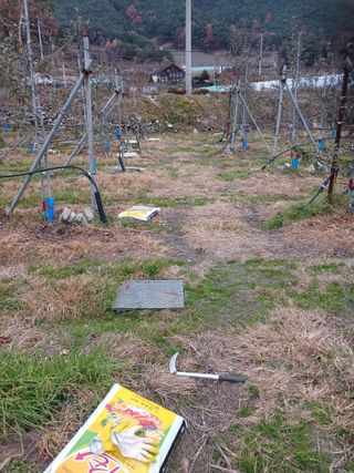 알 수 없음님의 자유주제 · 자유게시판 작성글 사진