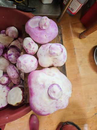 최선희님의 우리집 김장 자랑하기 · 참여글 작성글 사진